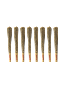 Surrey Select – Premium Regular size Pre-Roll PACK