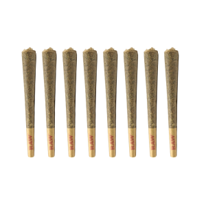 Surrey Select – Premium Regular size Pre-Roll PACK